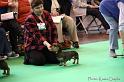 Crufts2011_2 575